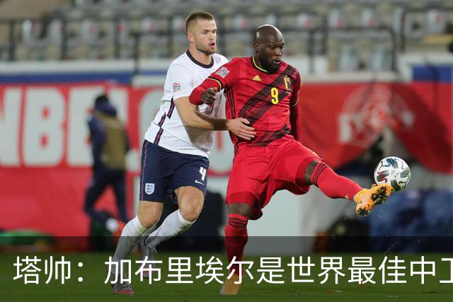 塔帅：加布里埃尔是世界最佳中卫之一，他在两个禁区的作用太强了