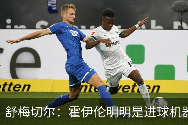 舒梅切尔：霍伊伦明明是进球机器，维韦尔来了偏要换成谢什科